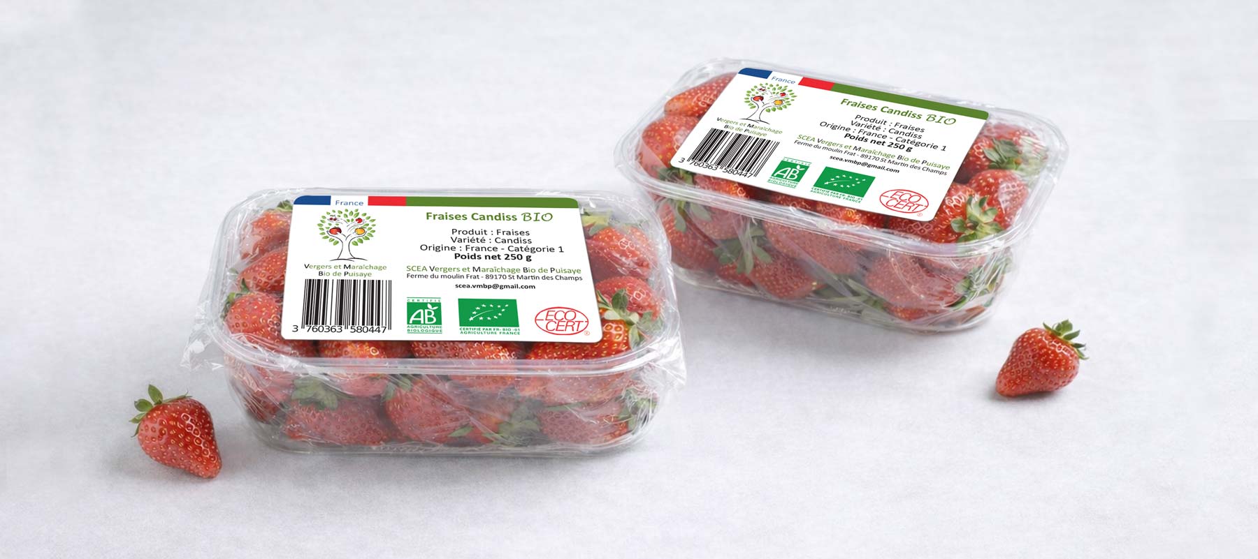 Graphiste création etiquette