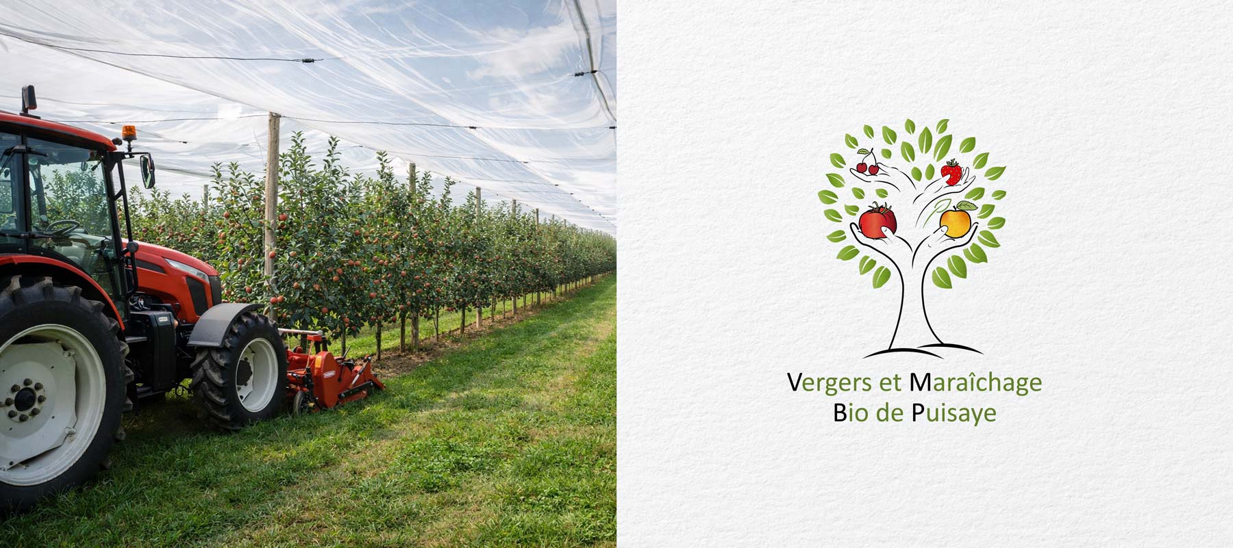 creation-logo-agricole