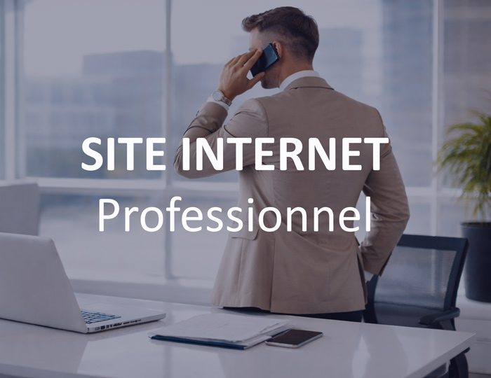 site internet professionnel