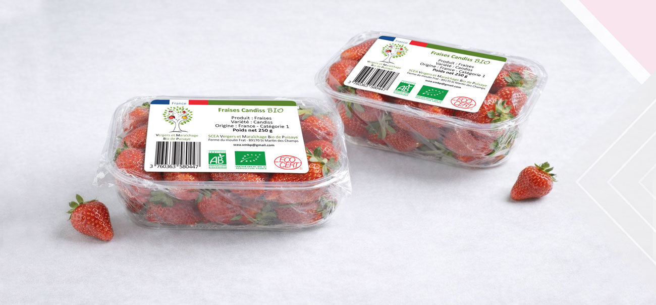 création-de-packaging