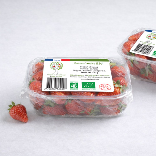 identite visuelle agricole