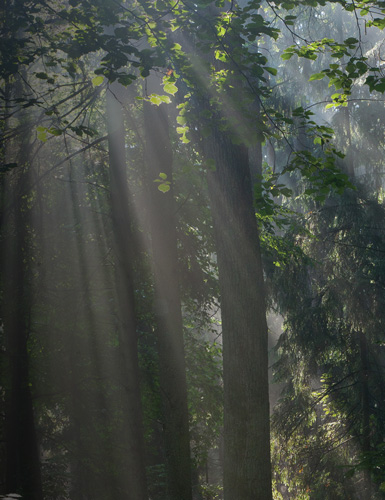 creation de magazine institutionnel