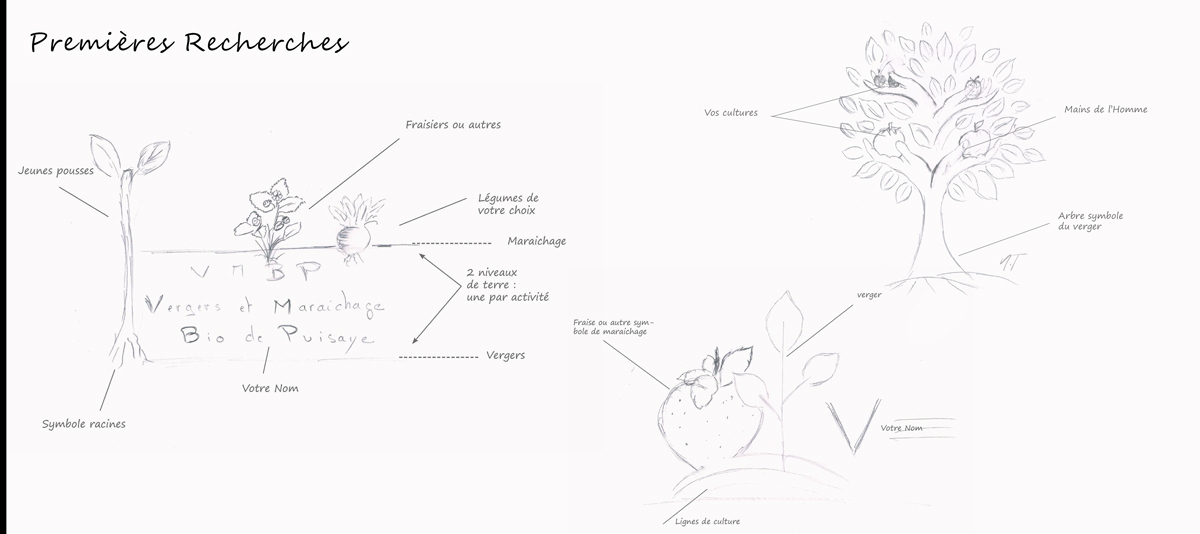 creation magazine institutionnel