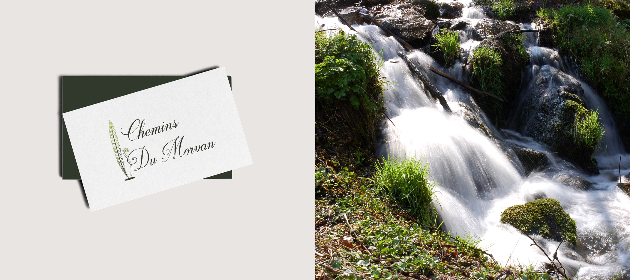 logo naturel morvan