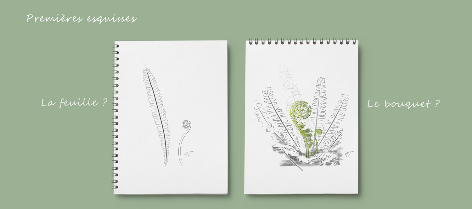 realisation-dessin-logo-nature